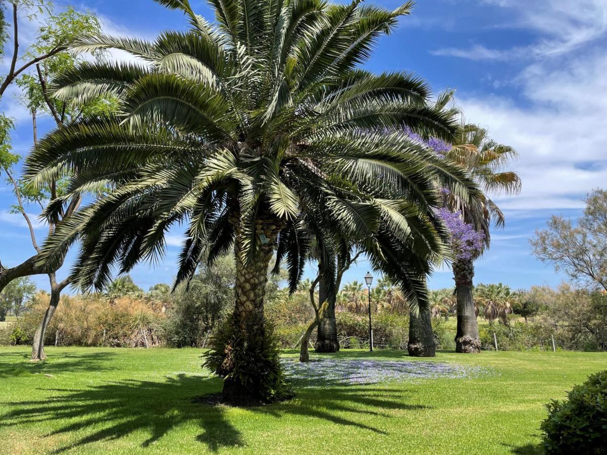Golf, Kitesurf, Tennis, Paddle, Free Bicycles - Apartment Andalusia Isla Canela Eksteriør bilde